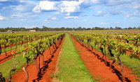 Coonawarra