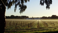 Langhorne Creek